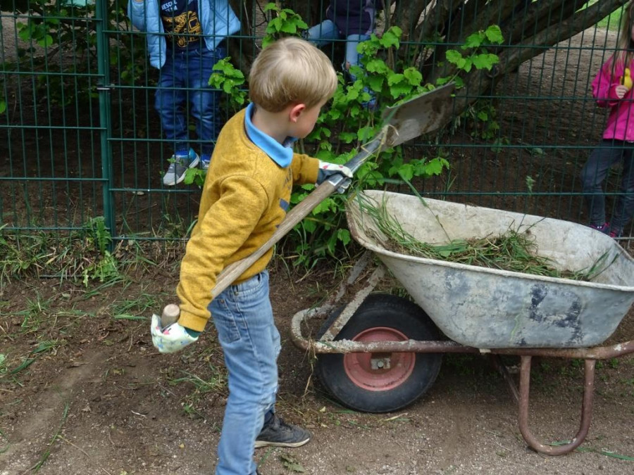 Anlage Bl&uuml;hstreifen