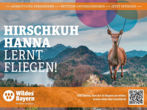 Petition zur &Ouml;ffnung der Rotwildbezirke in Bayern &ndash; &bdquo;Hirschkuh Hanna lernt fliegen&ldquo;