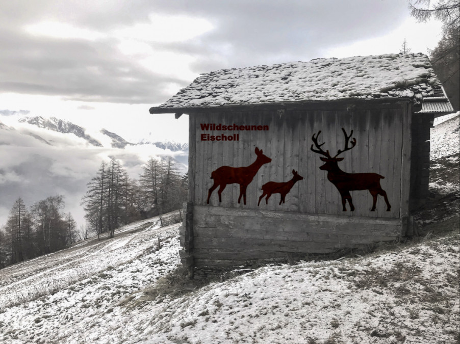 Verein &bdquo;Wildscheunen Eischoll&ldquo; saniert alte Stallscheunen